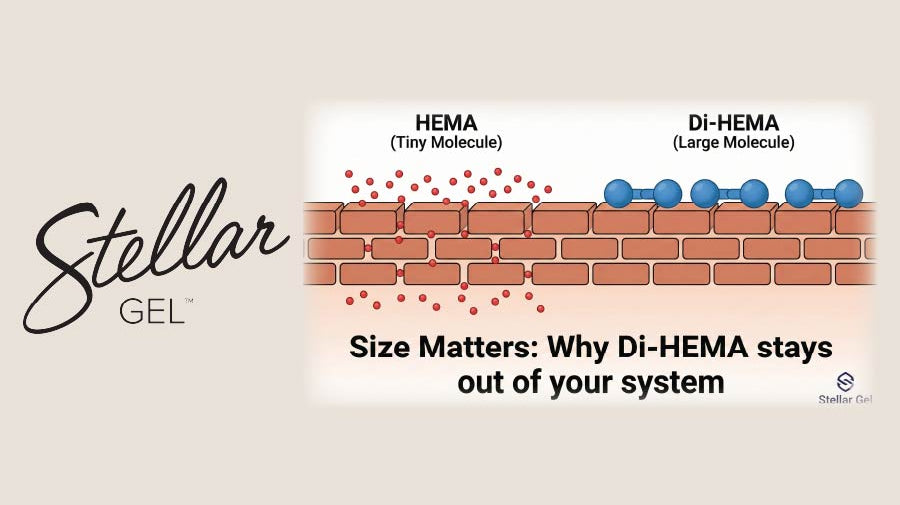 Is Di-HEMA Safe? The Difference Between HEMA and Its Big Cousin - Stellar Gel™