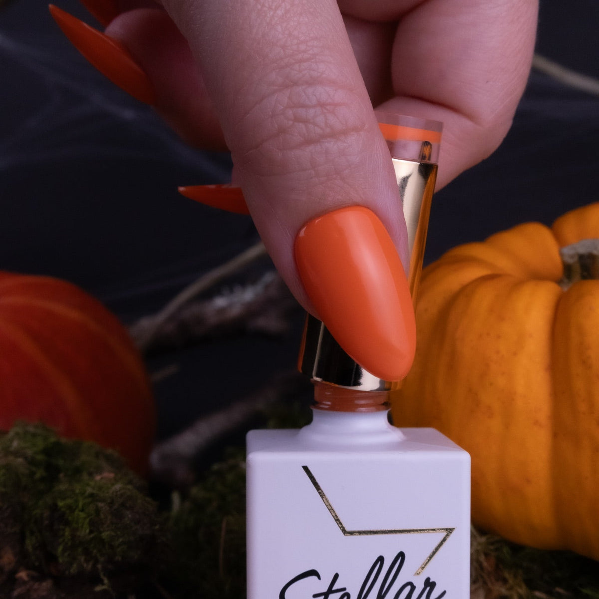 Gourd-geous on nails