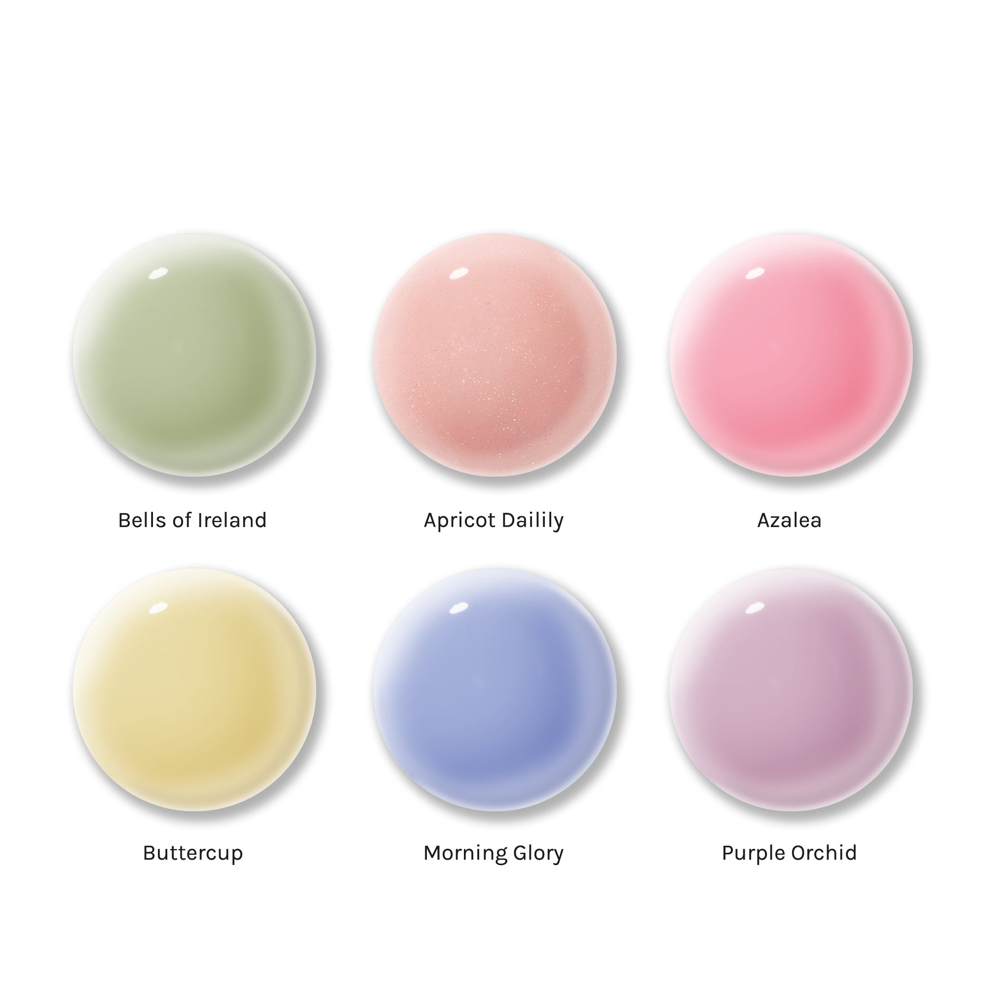 BOTANICAL STRUCTURE GEL 2.0 COLLECTION - Stellar Gel™ -