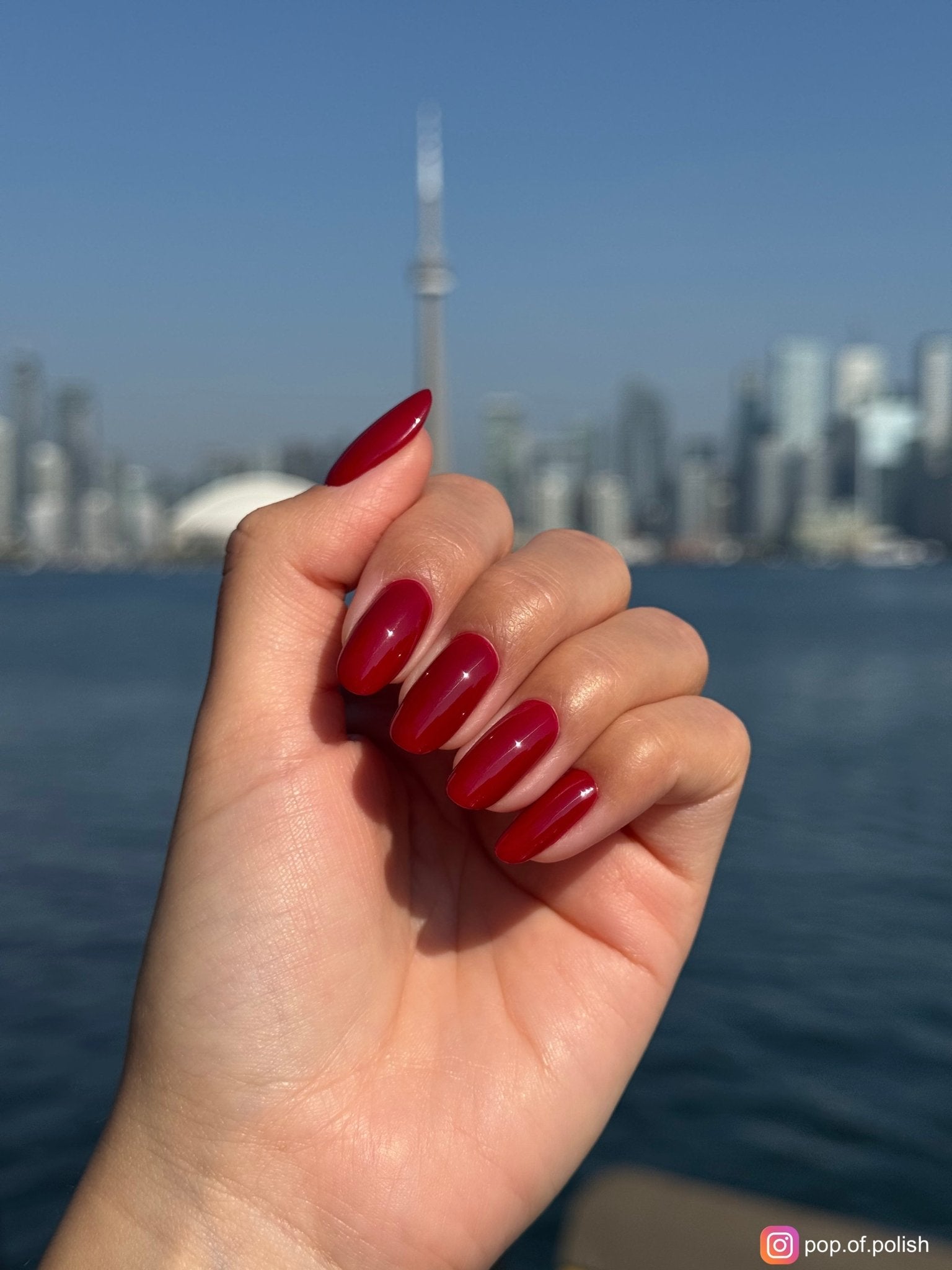 CAB SAUV - Stellar Gel™ -