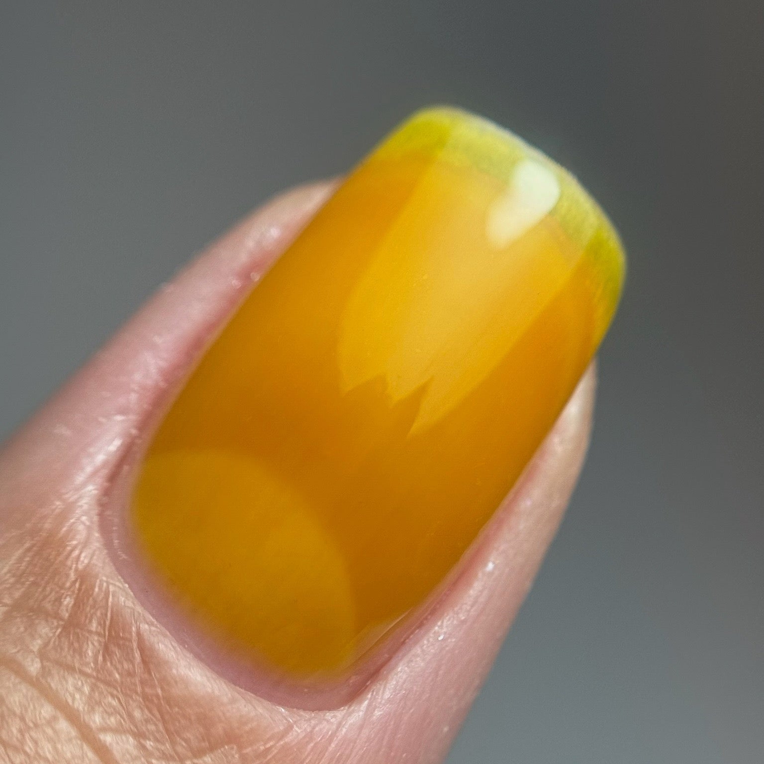 CATHEDRAL CITRINE - Stellar Gel™ -