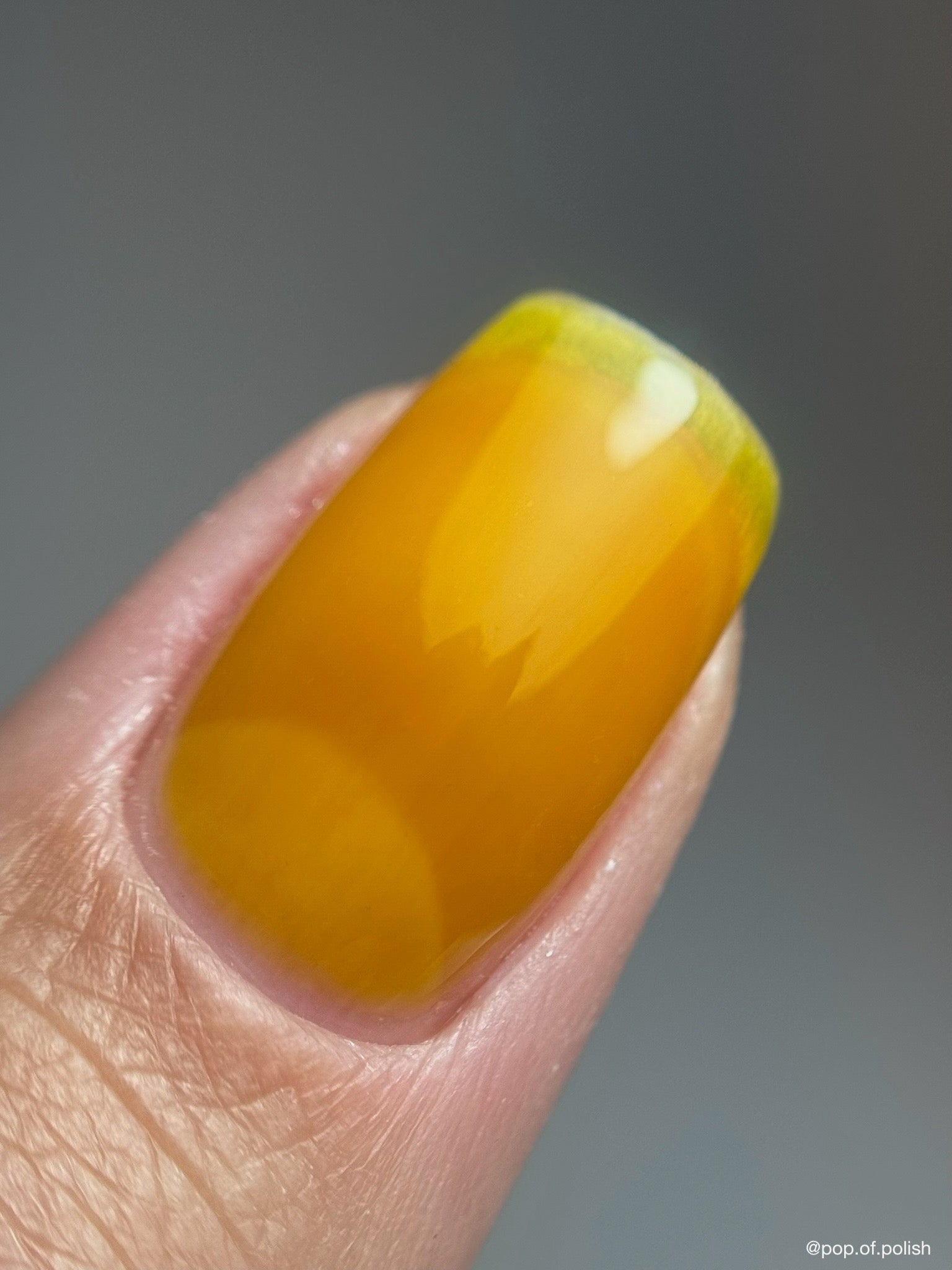 CATHEDRAL CITRINE - Stellar Gel™ -