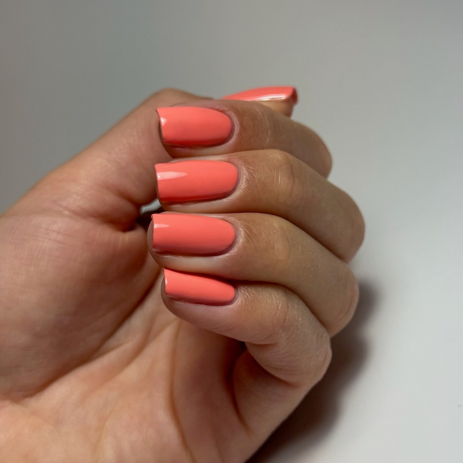 CORALFORNIA - Stellar Gel™ -