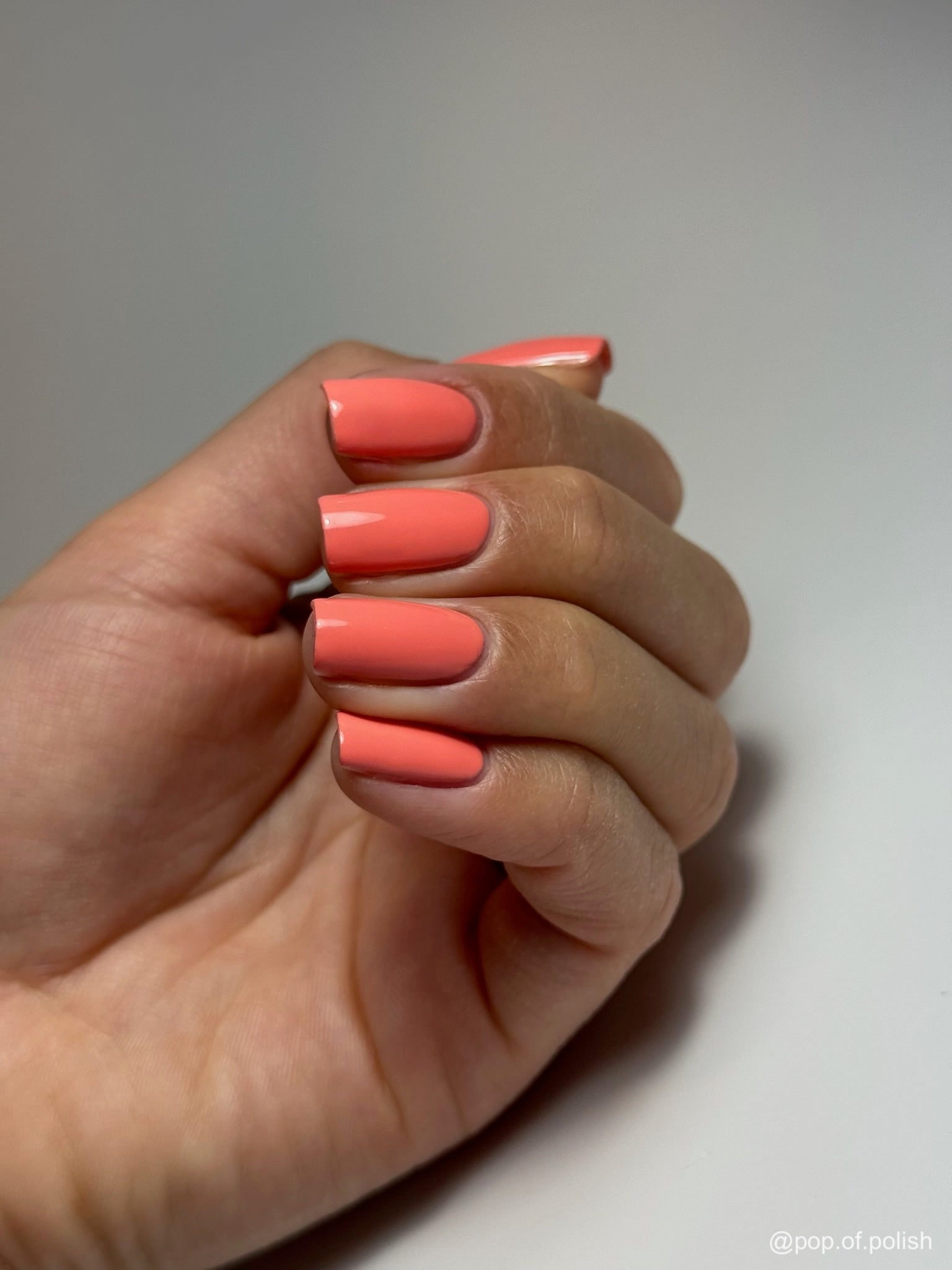 CORALFORNIA - Stellar Gel™ -