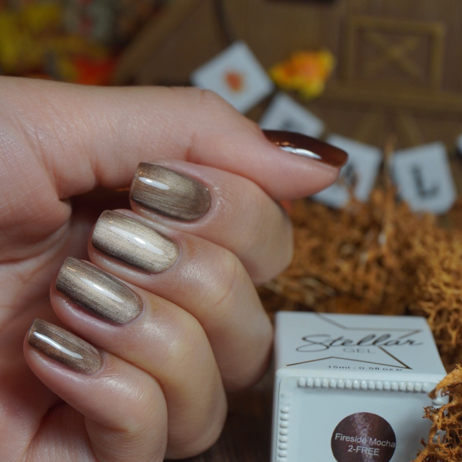 FIRESIDE MOCHA CAT - EYE - Stellar Gel™ -