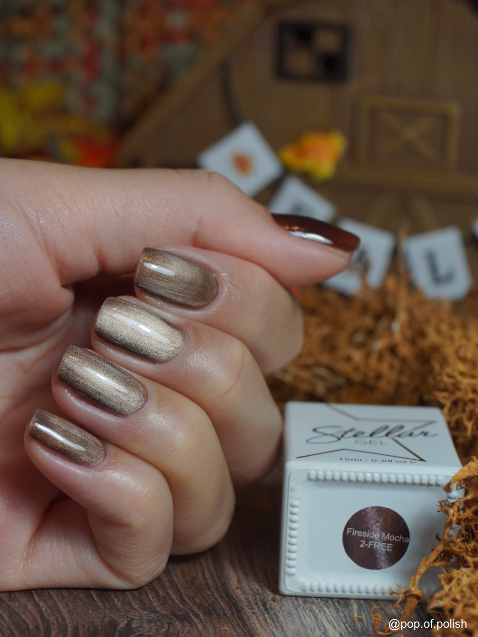 FIRESIDE MOCHA CAT - EYE - Stellar Gel™ -
