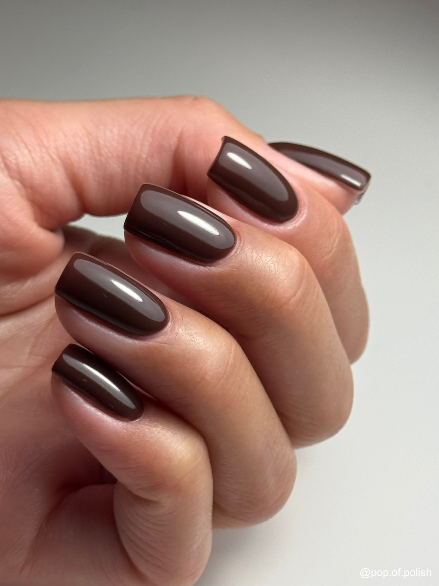 FRENCH ROAST - Stellar Gel™ -