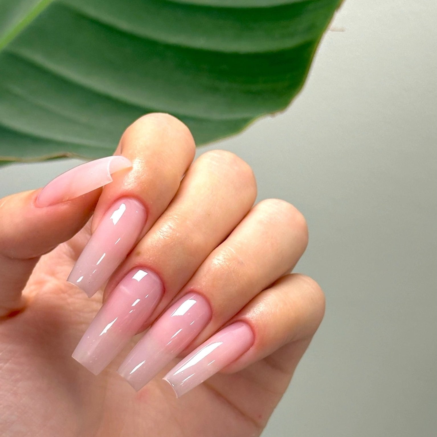 HARD STRUCTURE FIBER GEL ROSE PETAL (MADE IN USA) - Stellar Gel™ -