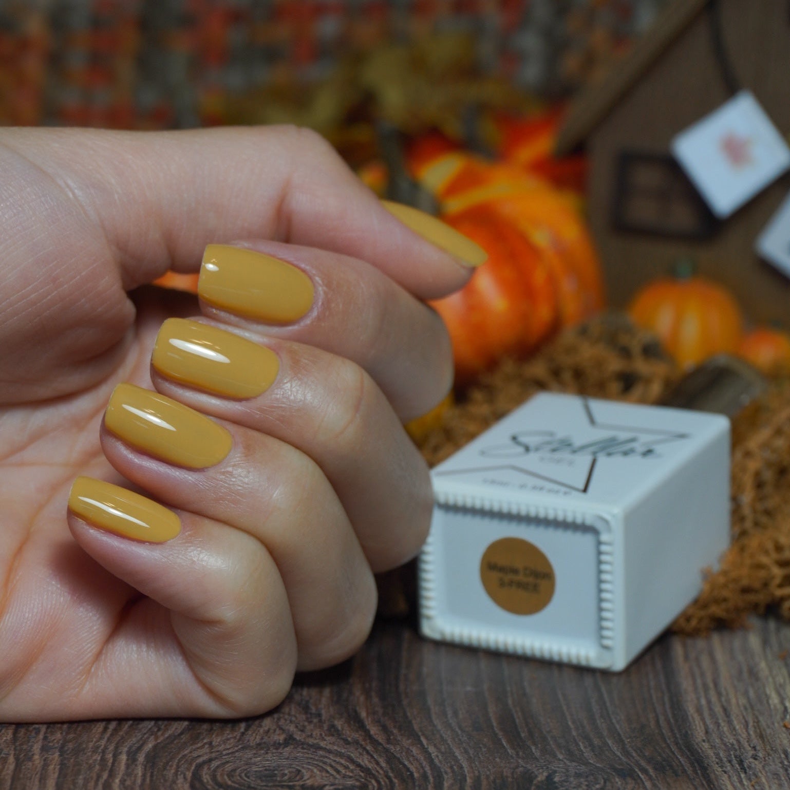 MAPLE DIJON - Stellar Gel™ -