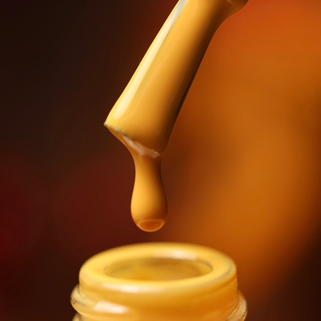 MAPLE DIJON - Stellar Gel™ -
