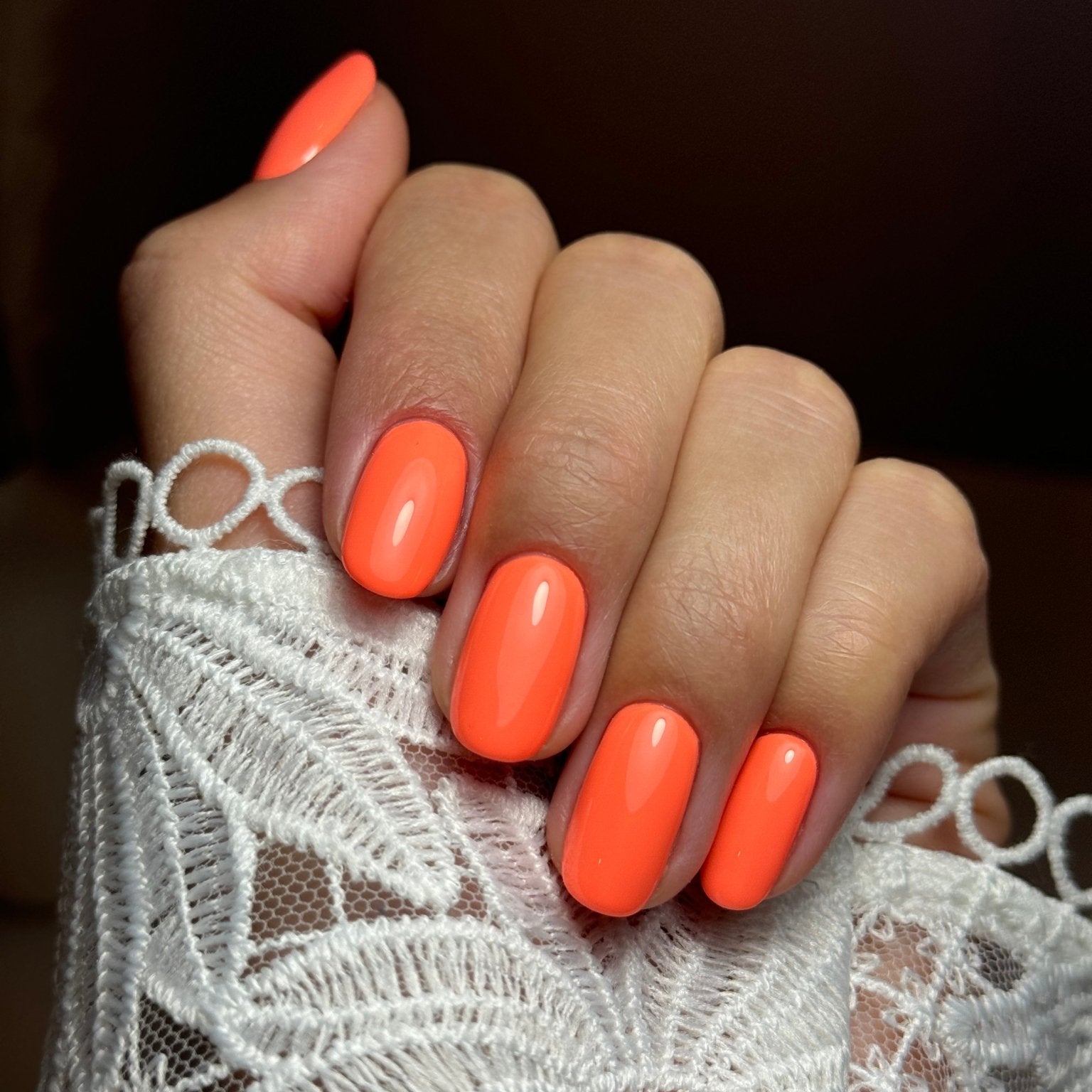 PARTY CITY - Stellar Gel™ -