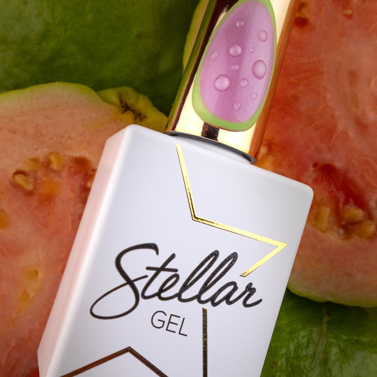 PINK GUAVA - Stellar Gel™ -