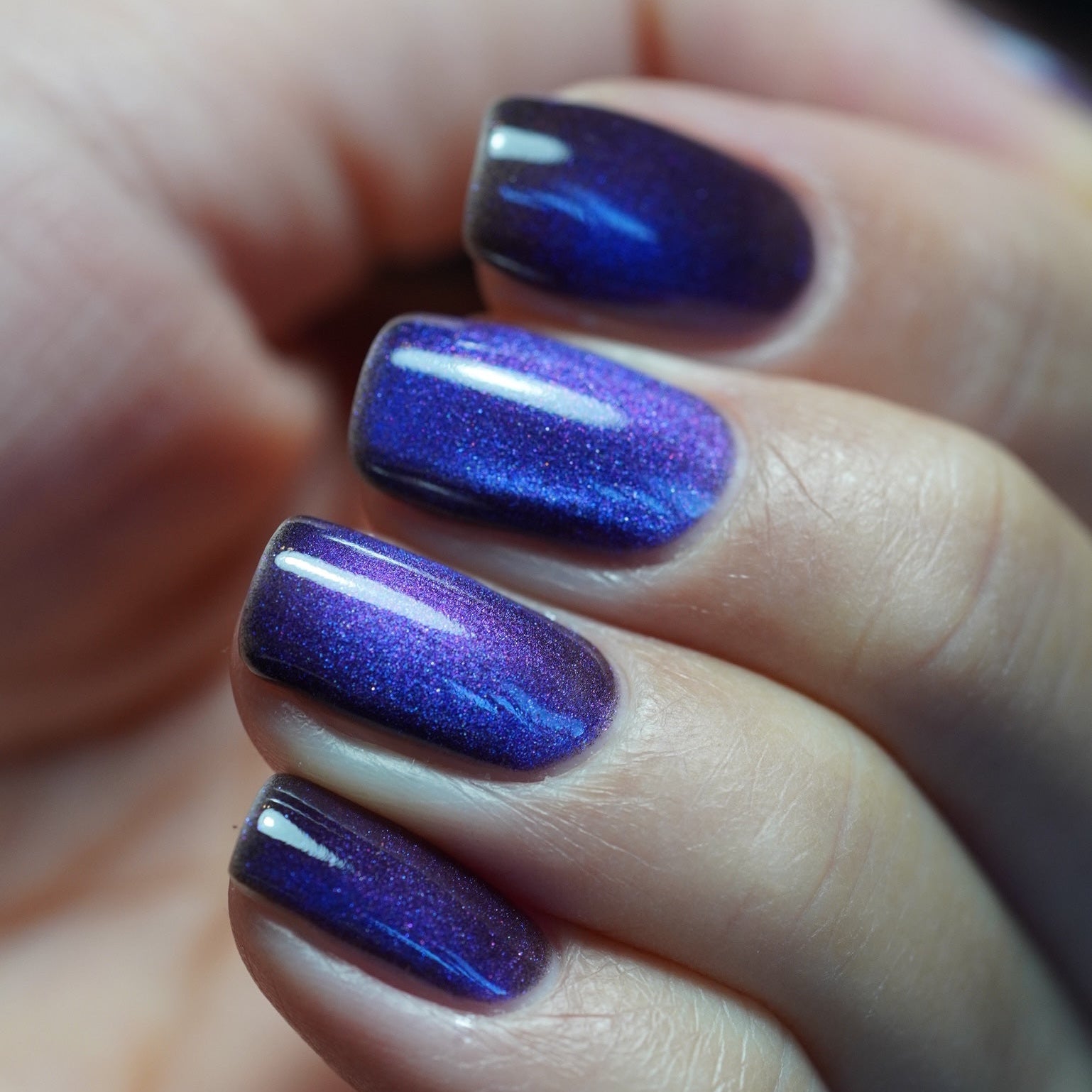POISON BERRY CAT - EYE - Stellar Gel™ -