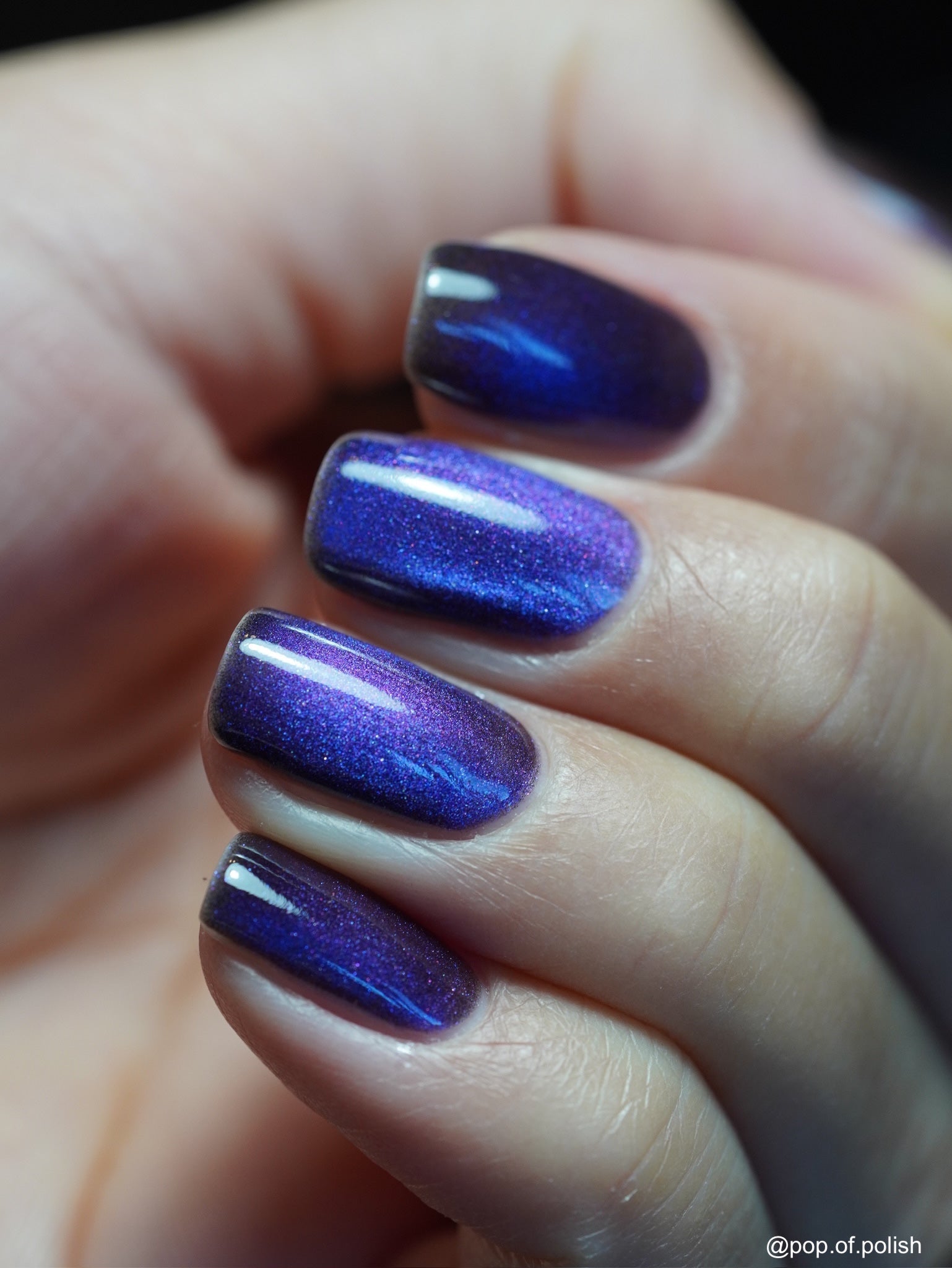 POISON BERRY CAT - EYE - Stellar Gel™ -