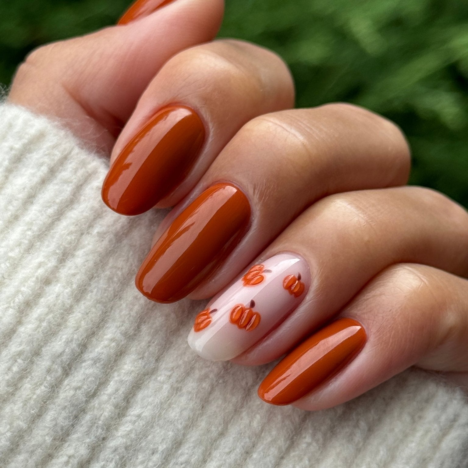PUMPKIN PIE - Stellar Gel™ -
