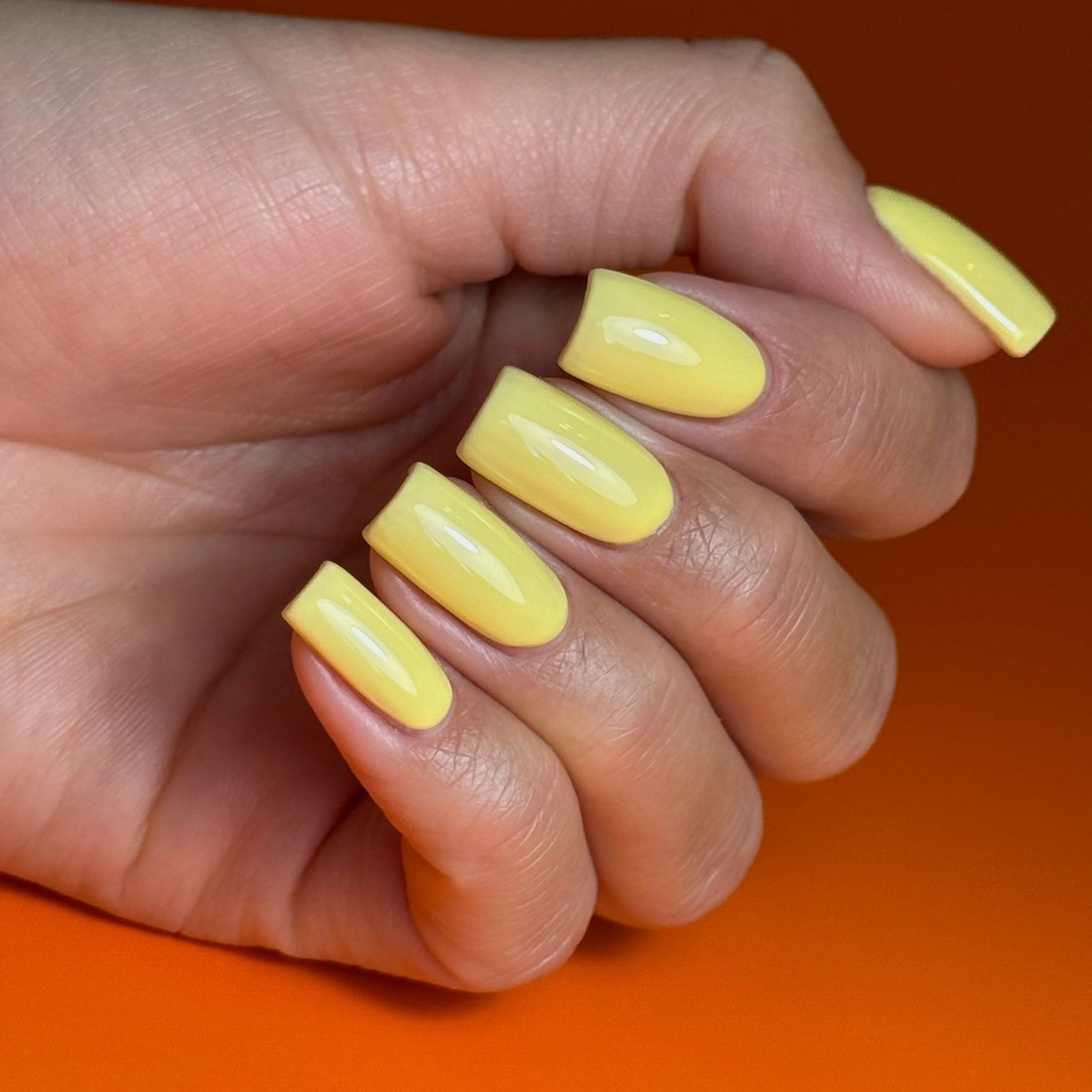 SOLAR BUTTER - Stellar Gel™ -
