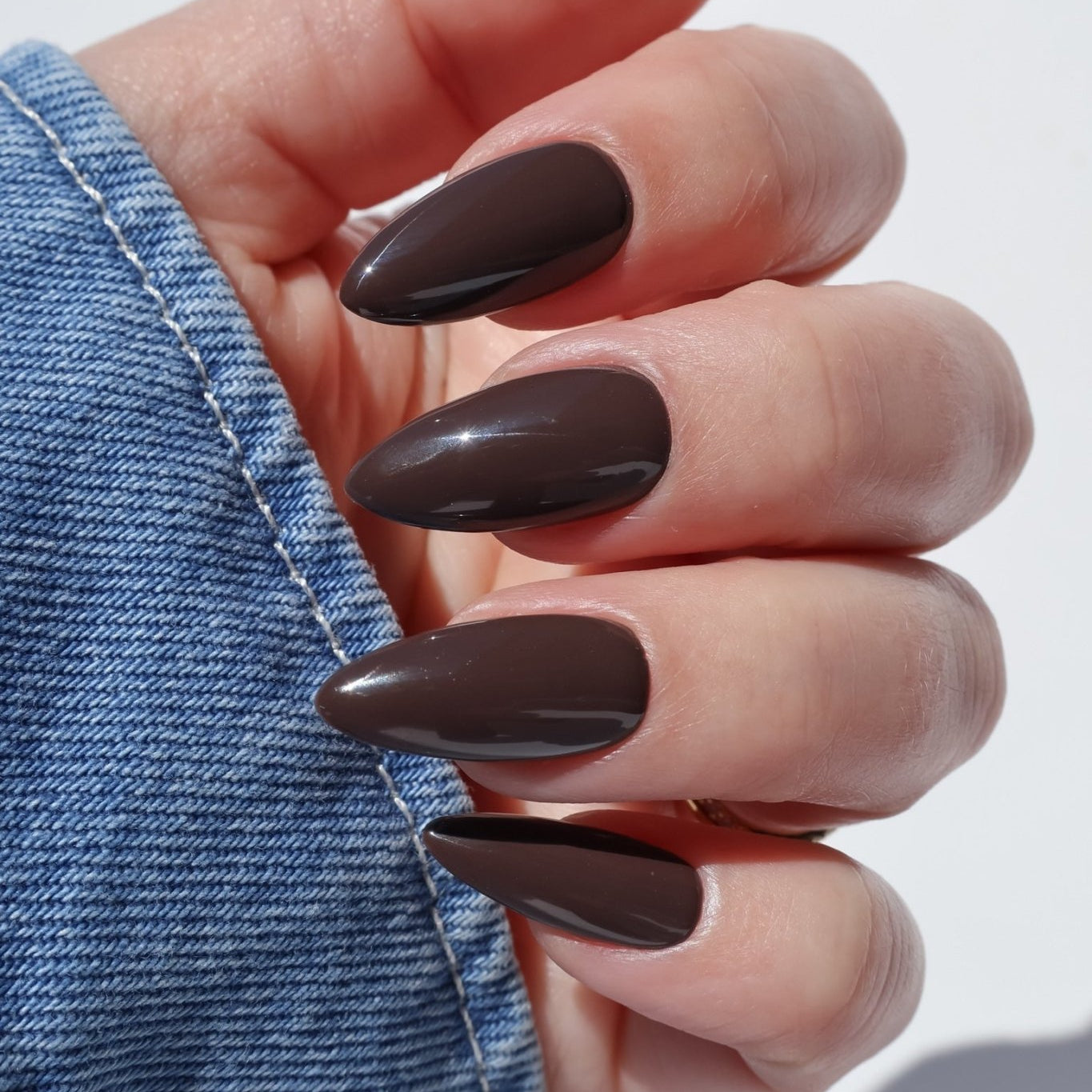 THE BARISTA COLLECTION - Stellar Gel™ -
