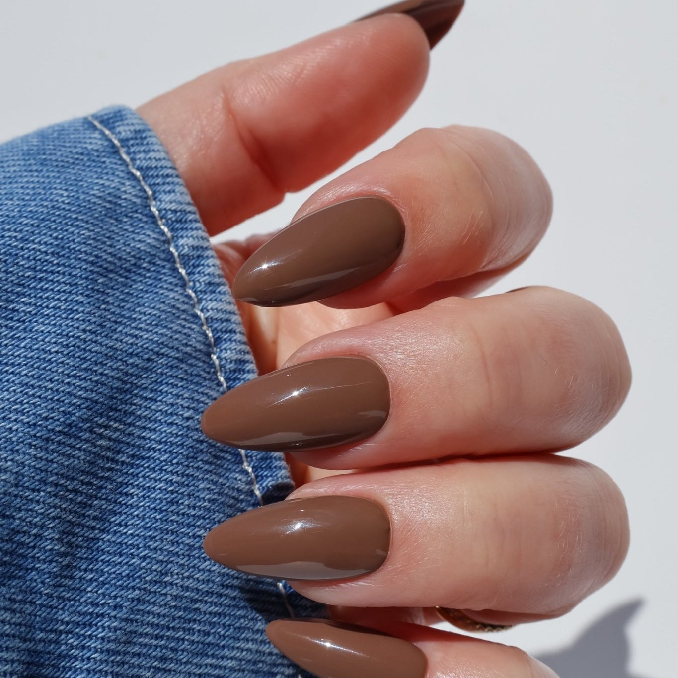 THE BARISTA COLLECTION - Stellar Gel™ -