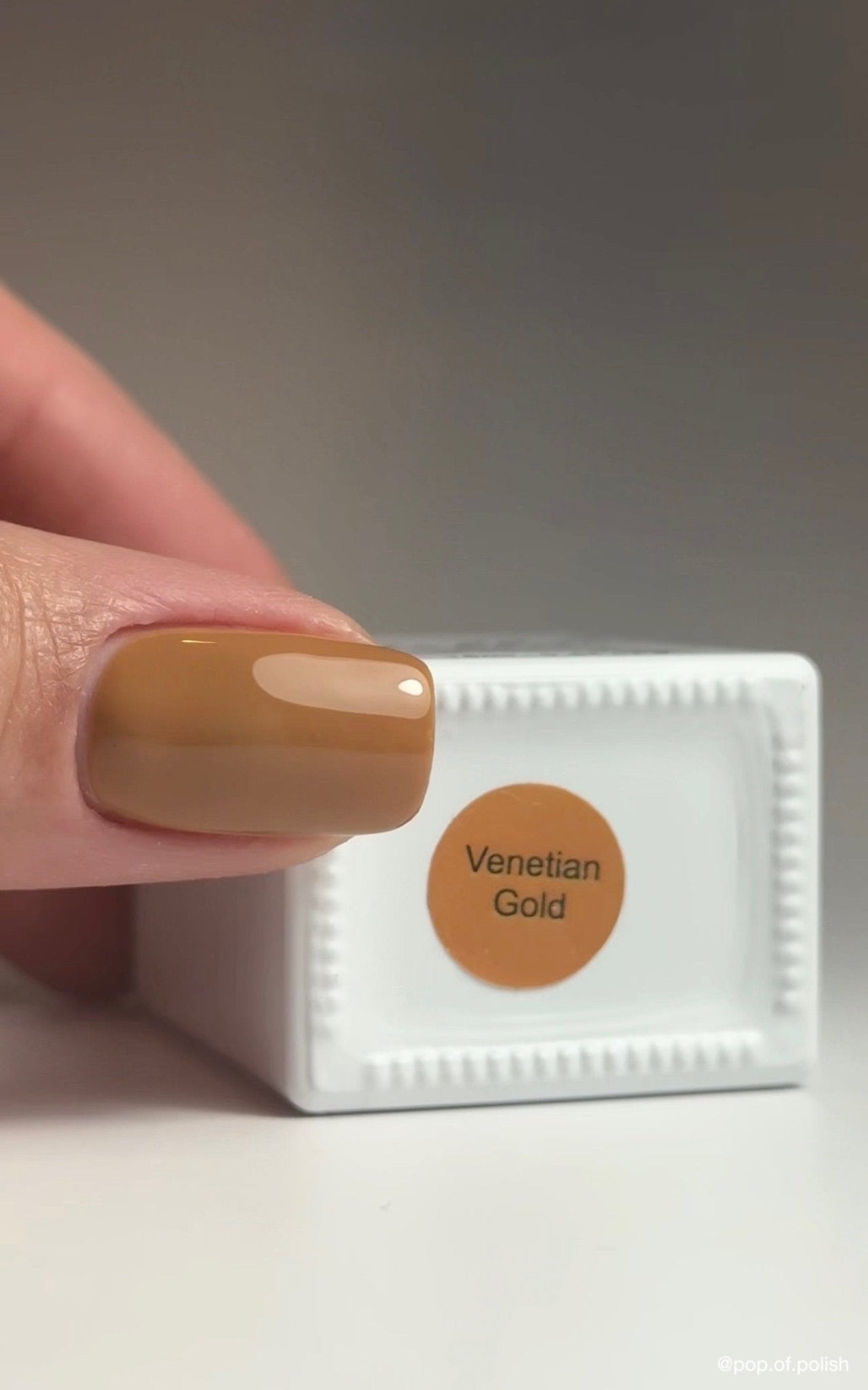 VENETIAN GOLD - Stellar Gel™ -