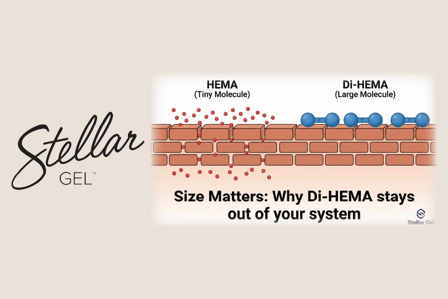 Is Di-HEMA Safe? The Difference Between HEMA and Its Big Cousin - Stellar Gel™