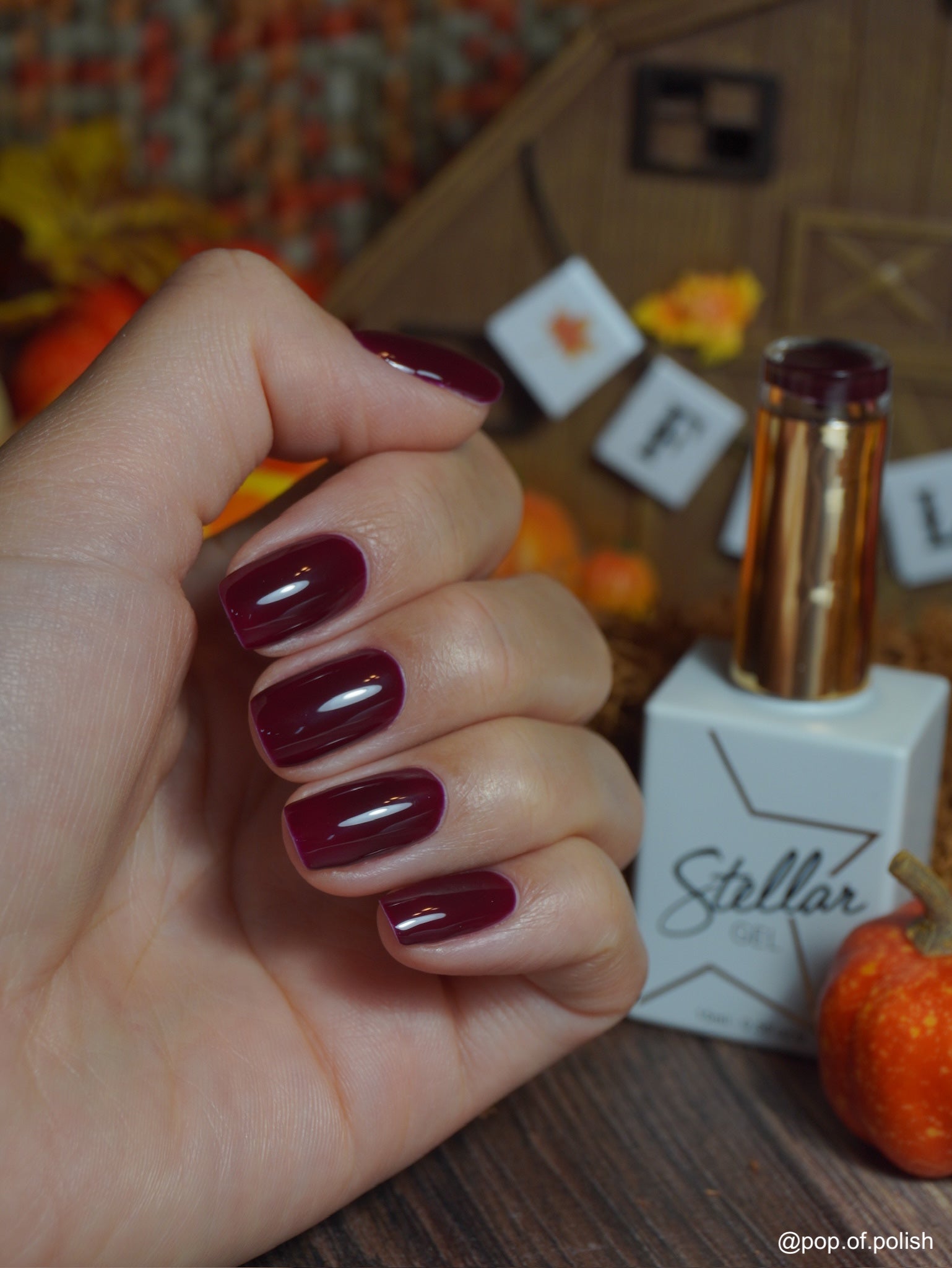Hand with dark red nail polish holding a bottle of Stellar Gel polish.