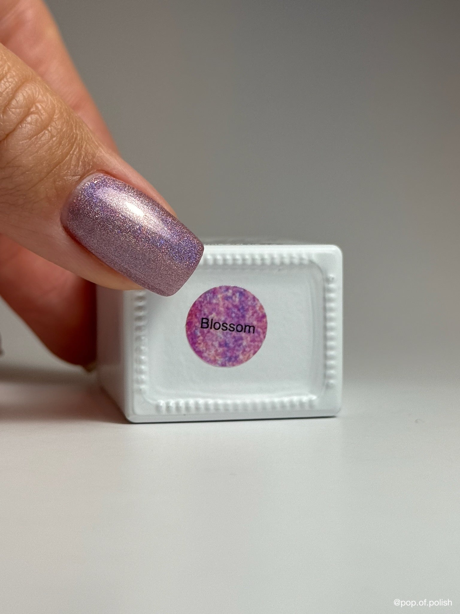 BLOSSOM - Stellar Gel™ - 