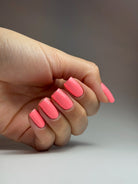 CORAL REEF - Stellar Gel™ - 