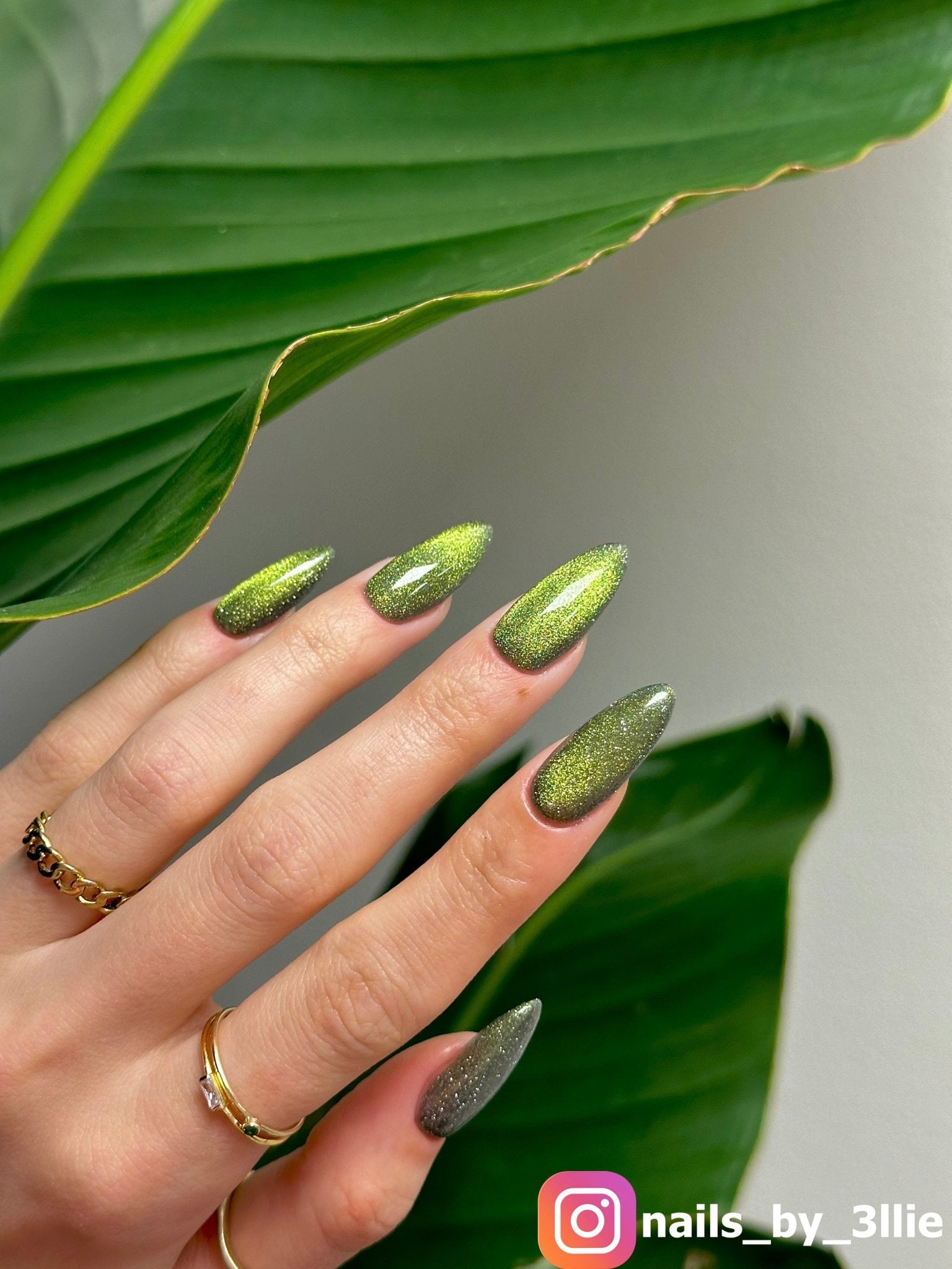 DISCO VINE CAT - EYE - Stellar Gel™ - 