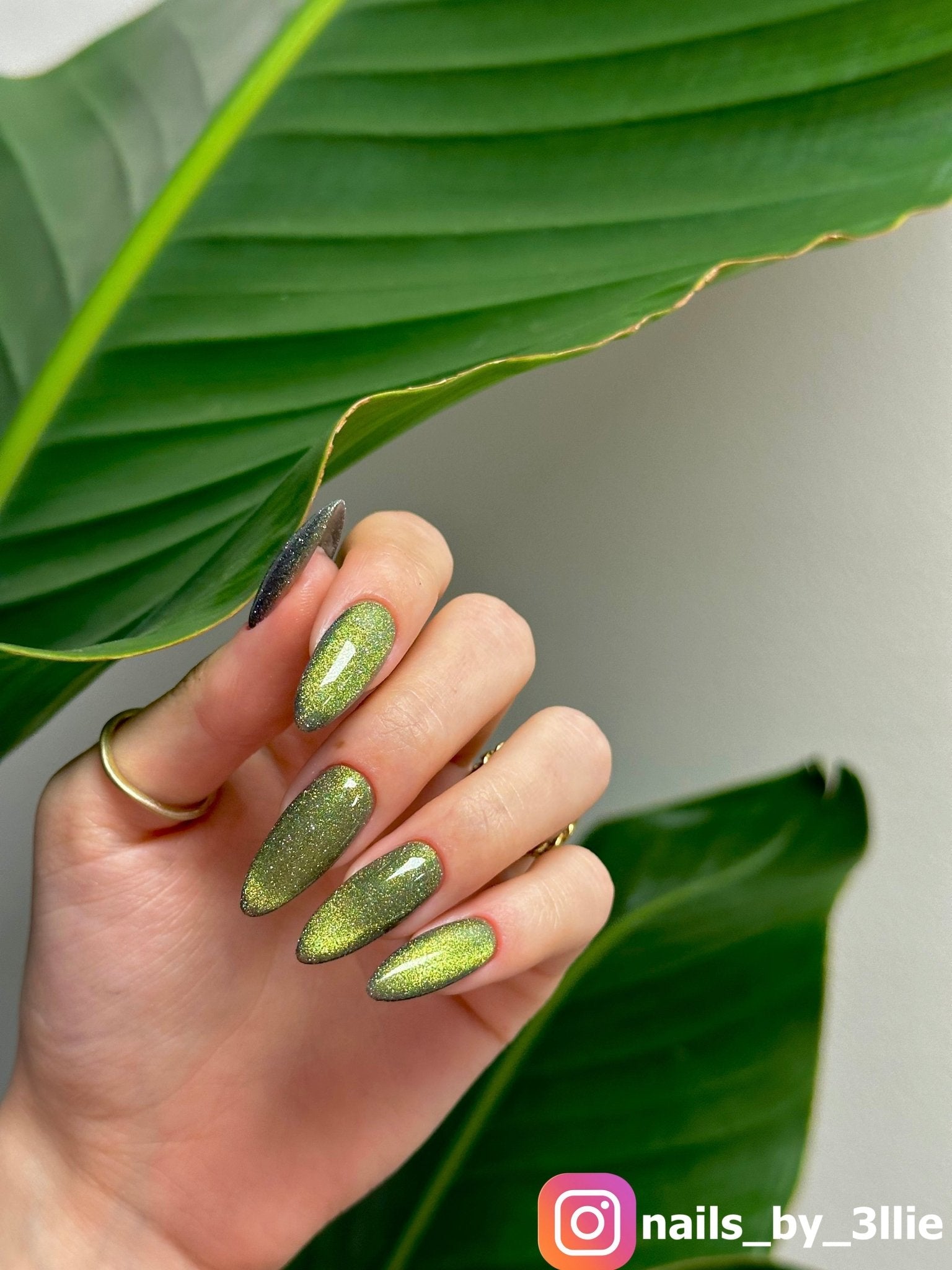 DISCO VINE CAT - EYE - Stellar Gel™ - 