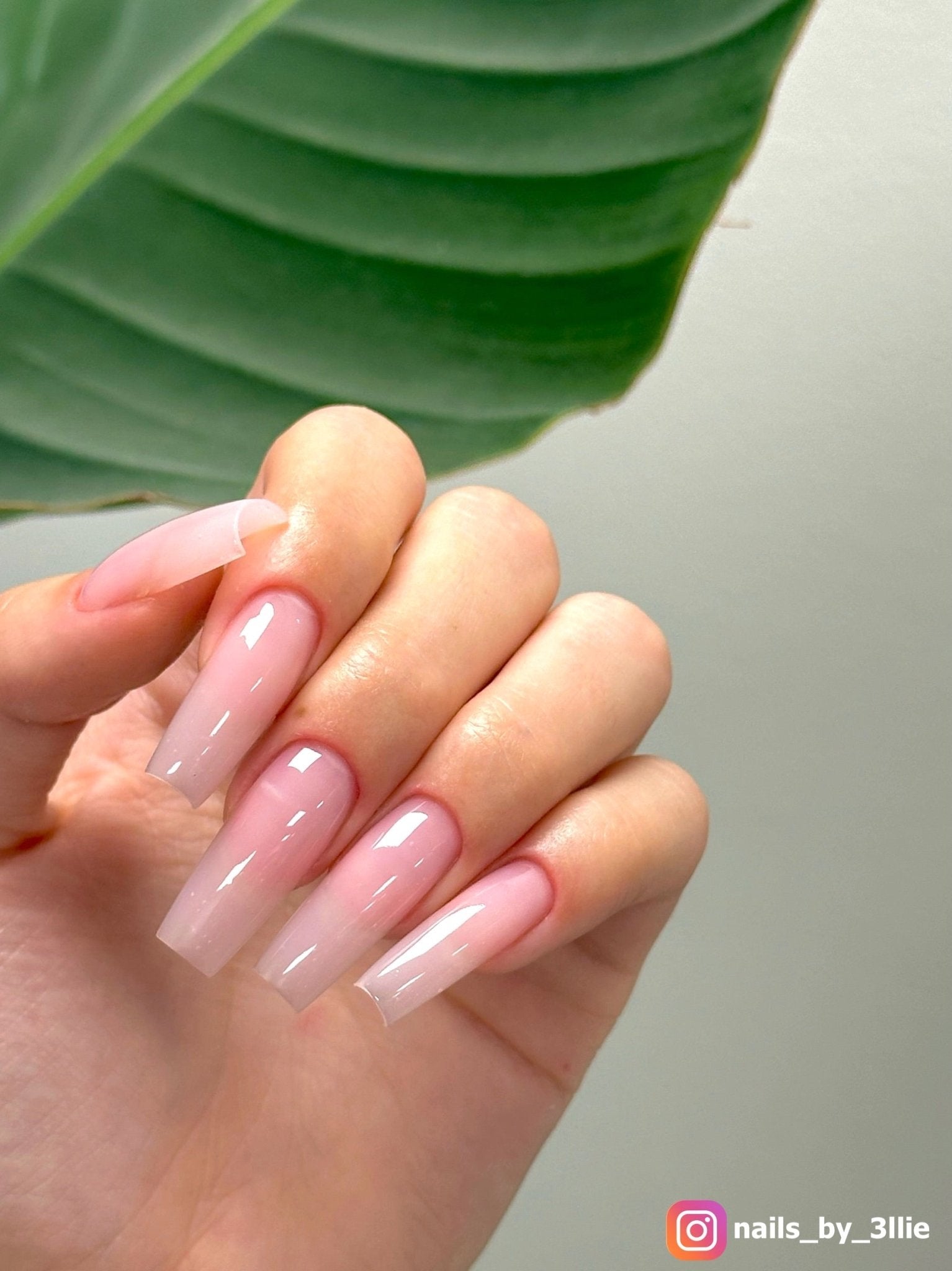 HARD STRUCTURE FIBER GEL ROSE PETAL (MADE IN USA) - Stellar Gel™ - 