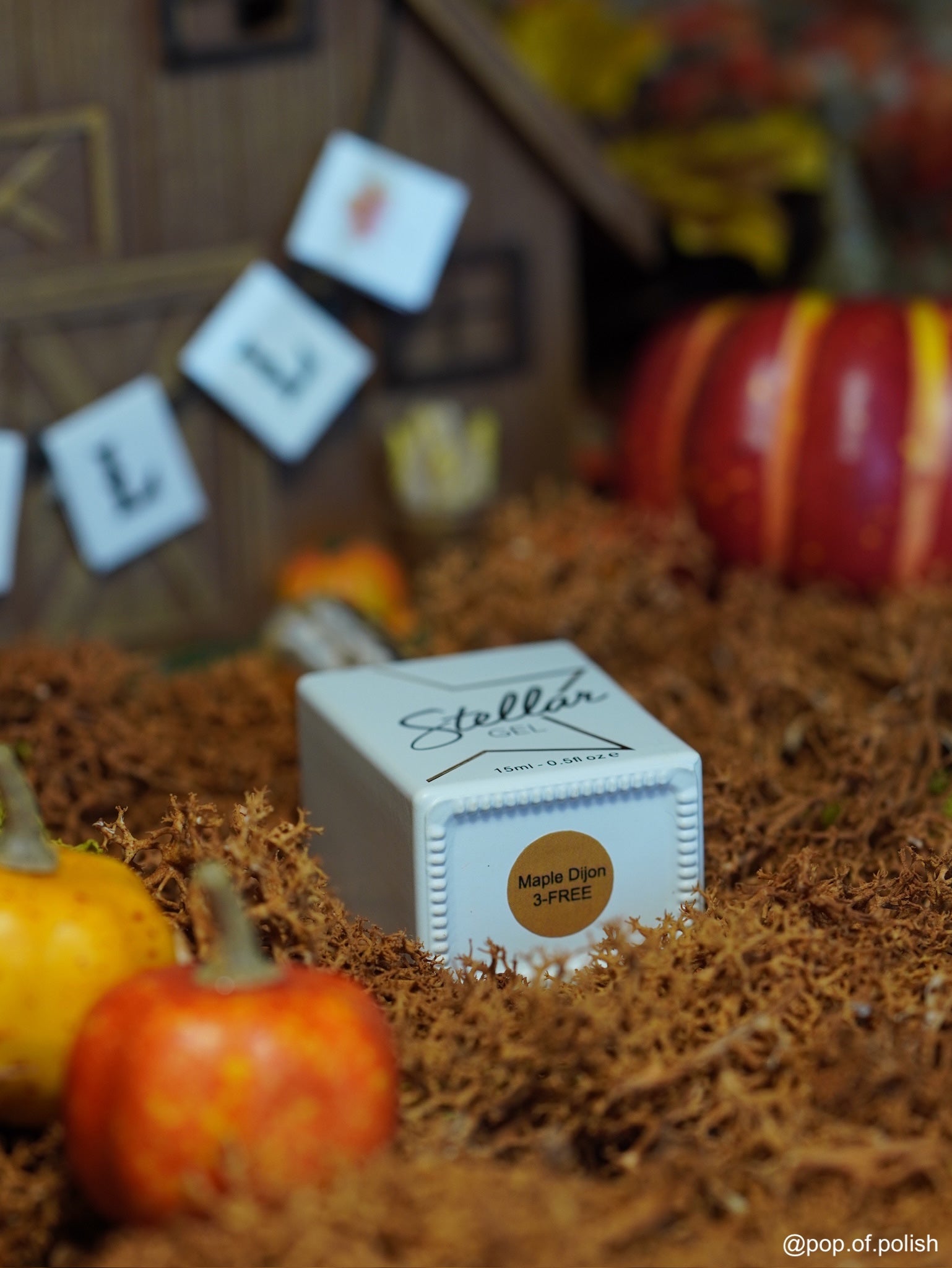 MAPLE DIJON - Stellar Gel™ - 