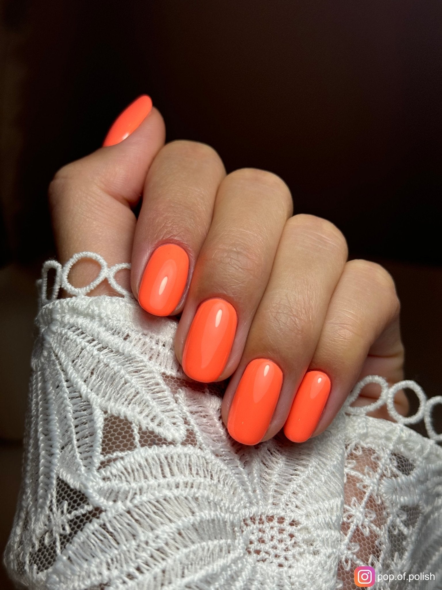 PARTY CITY - Stellar Gel™ - 