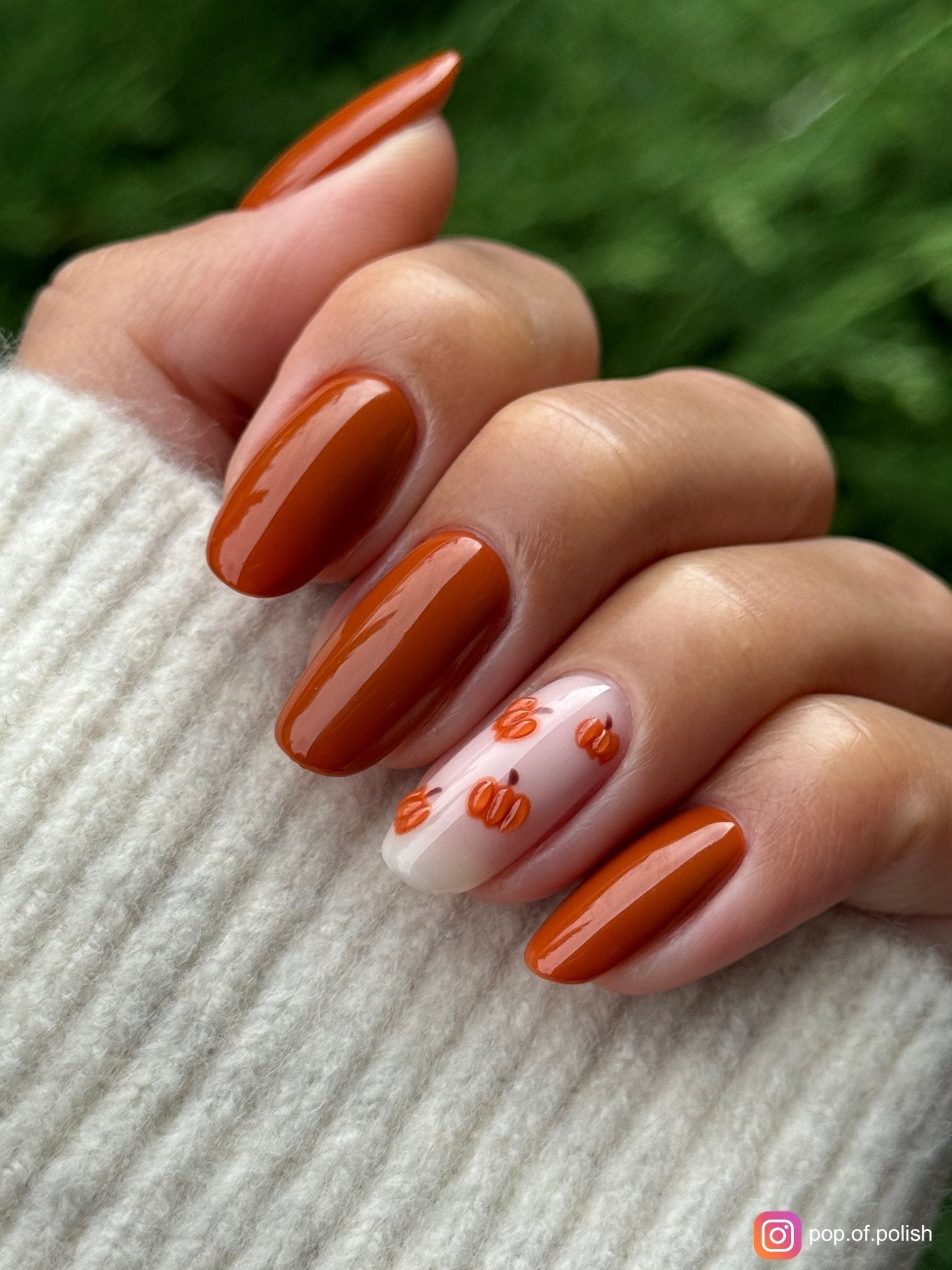 PUMPKIN PIE - Stellar Gel™ - 