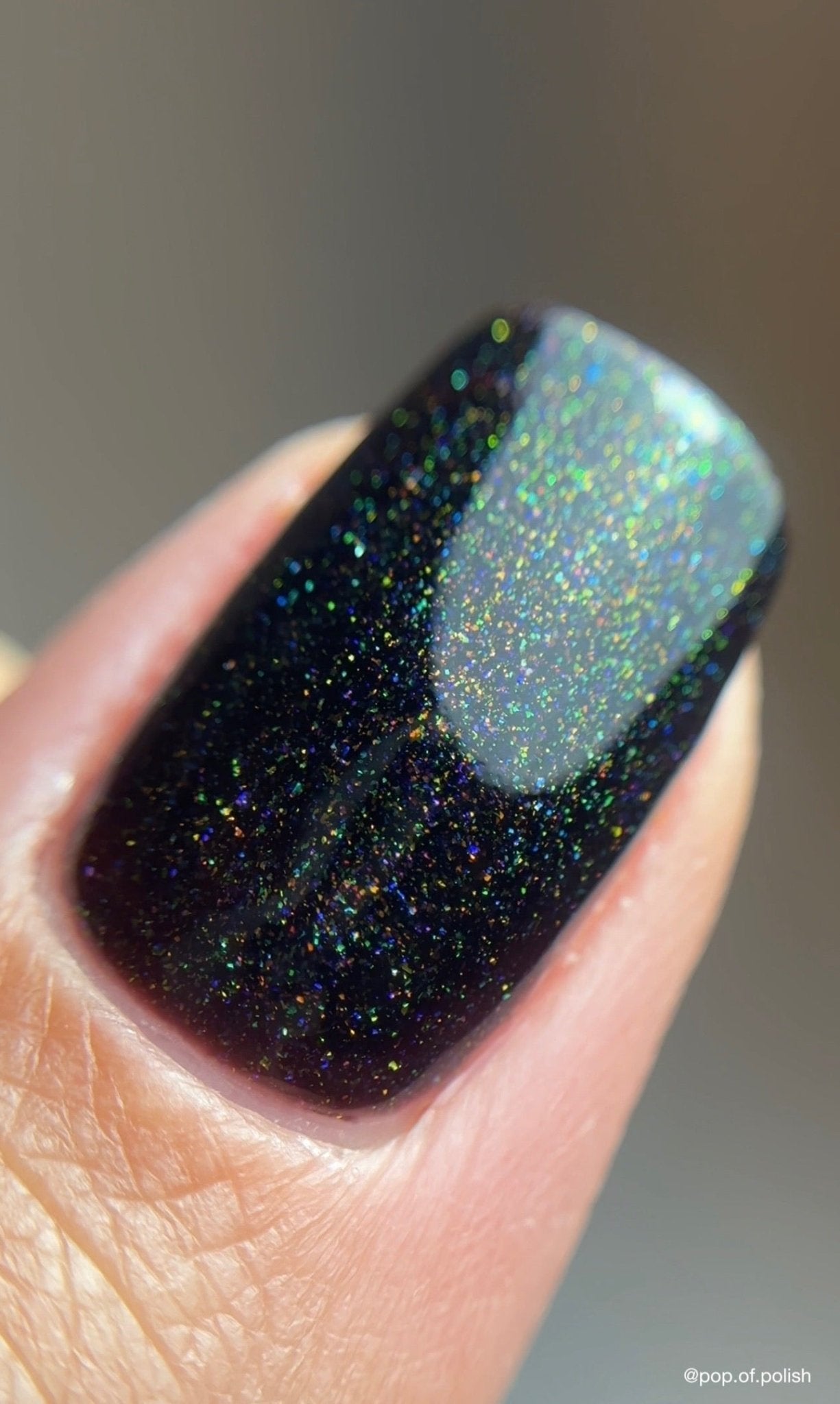 STELLAR BREW - Stellar Gel™ - 