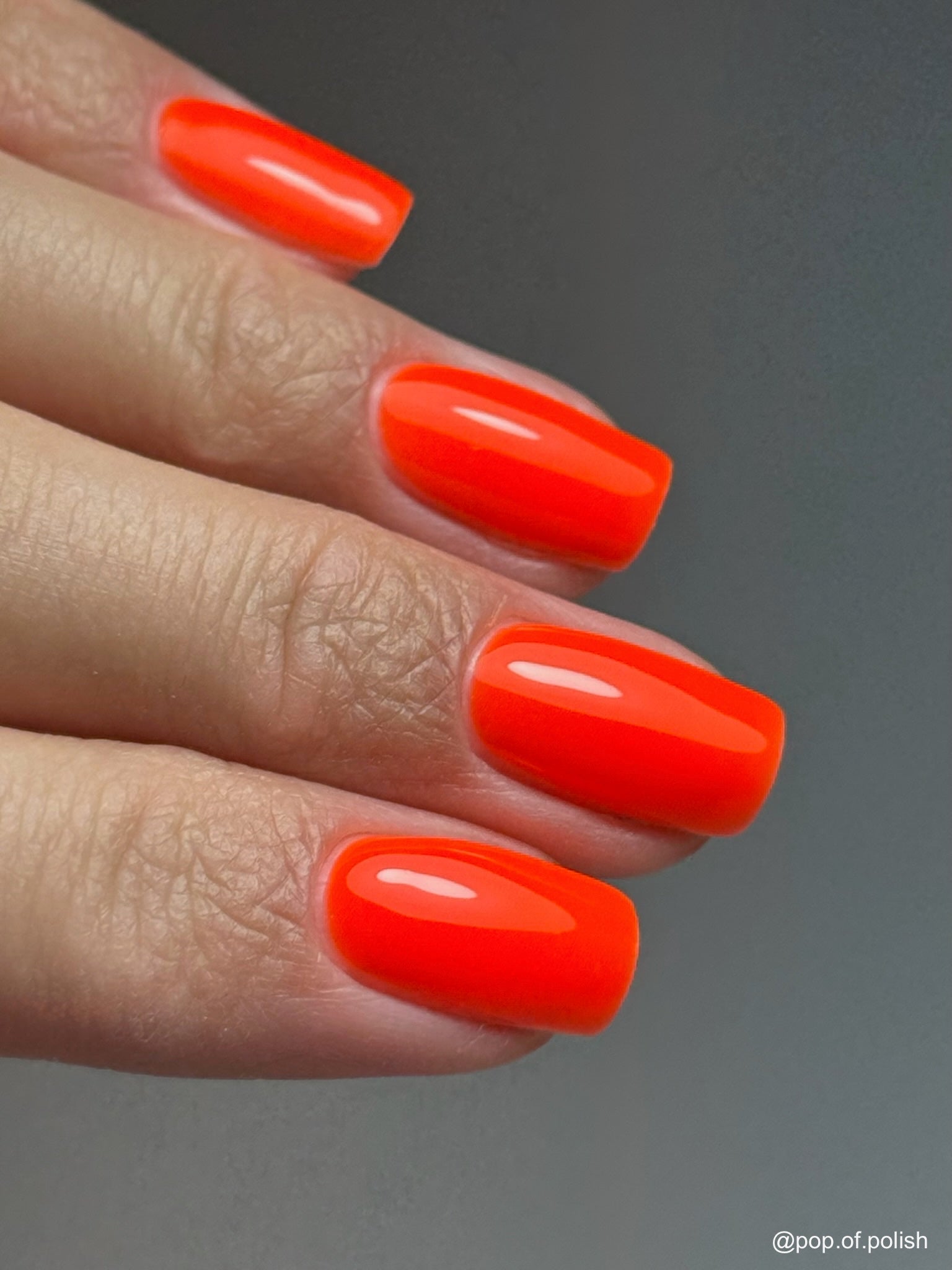 SUNSET BLVD - Stellar Gel™ - 