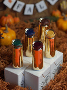 SWEATER WEATHER COLLECTION - Stellar Gel™ - 